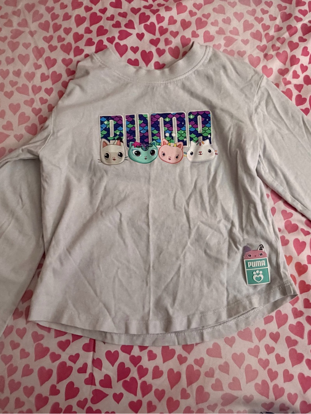 Puma gabby dollhouse set